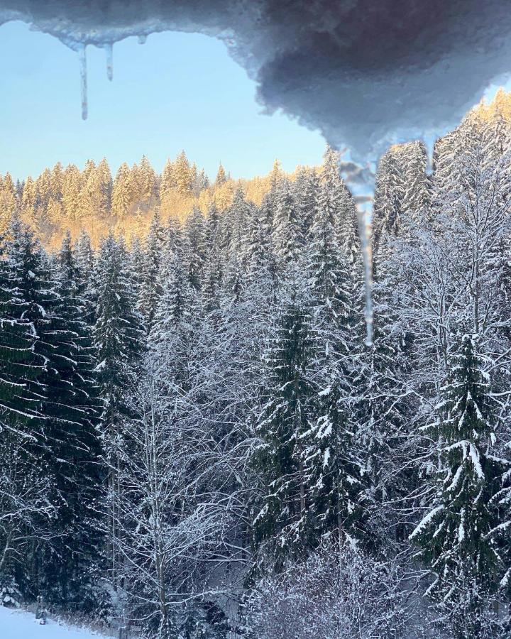 Biofarma Na Luce Villa Velké Karlovice Buitenkant foto